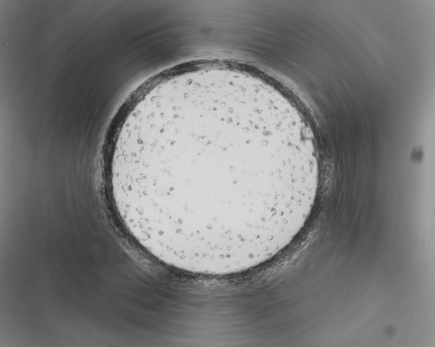 X0000116300927201001111114