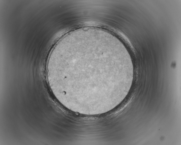 X0000116300930201001111114