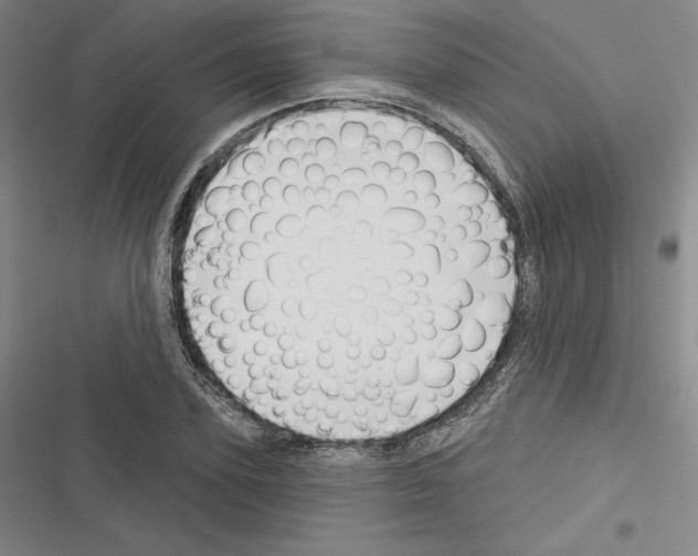 X0000116300931201001111114