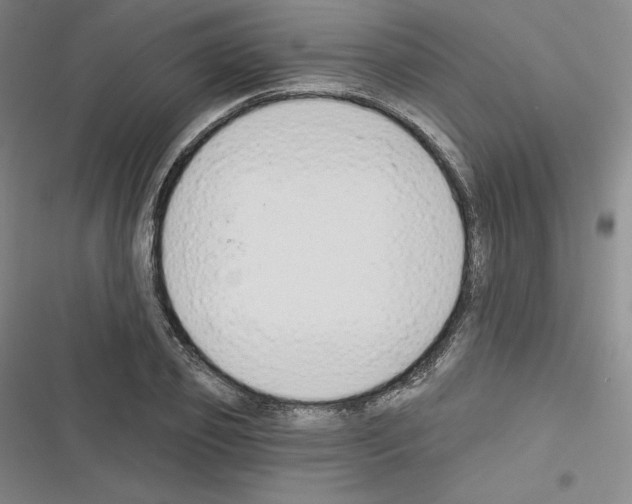 X0000116300933201001111114