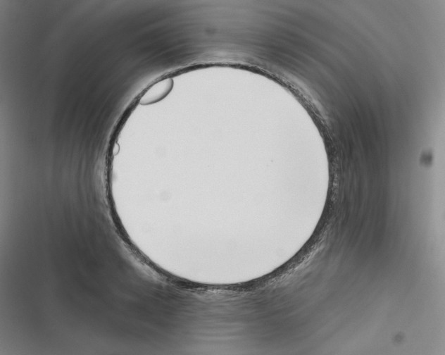 X0000116300942201001111114