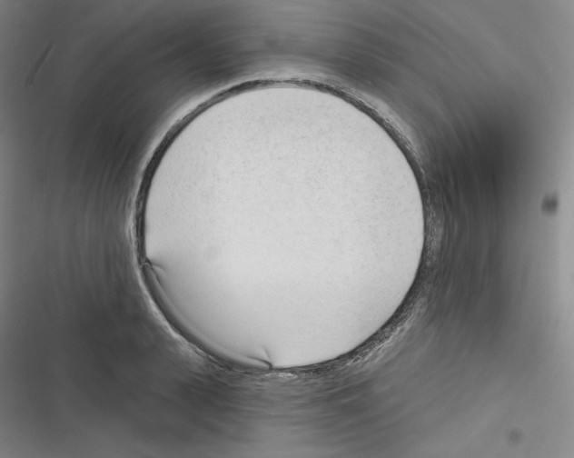 X0000116300943201001111114