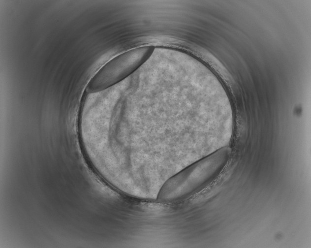 X0000116300946201001111114