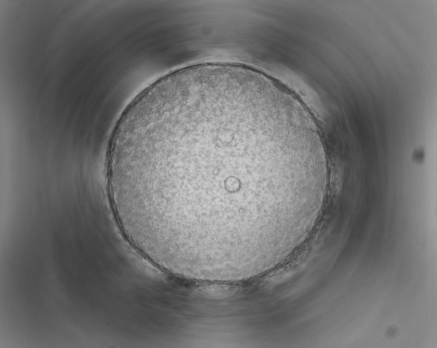 X0000116300950201001111114