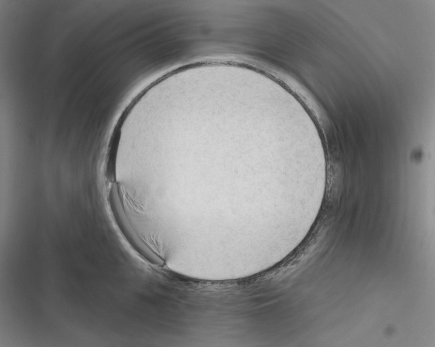 X0000116300951201001111114