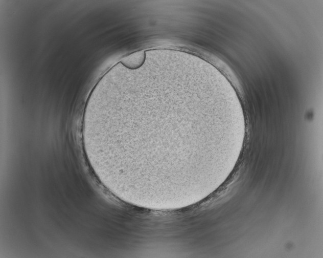 X0000116300954201001111115