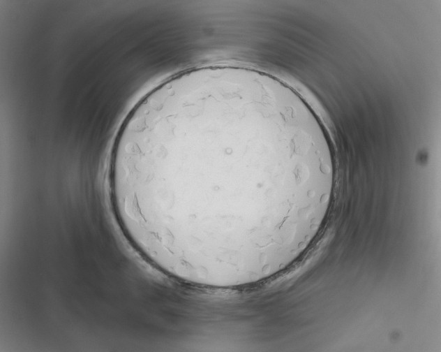 X0000116300957201001111115