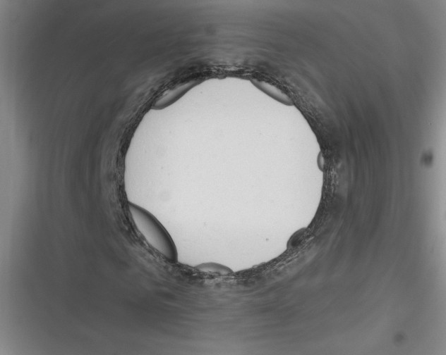 X0000116300961201001111114