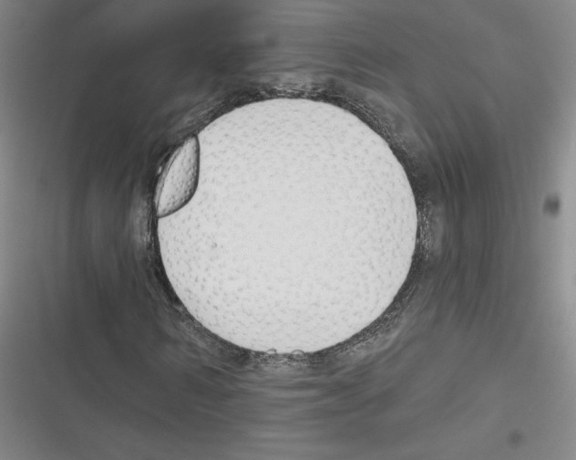 X0000116300962201001111114