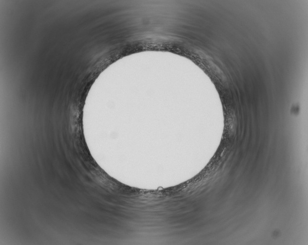 X0000116300964201001111114