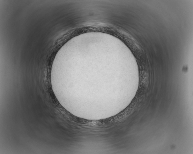 X0000116300966201001111114