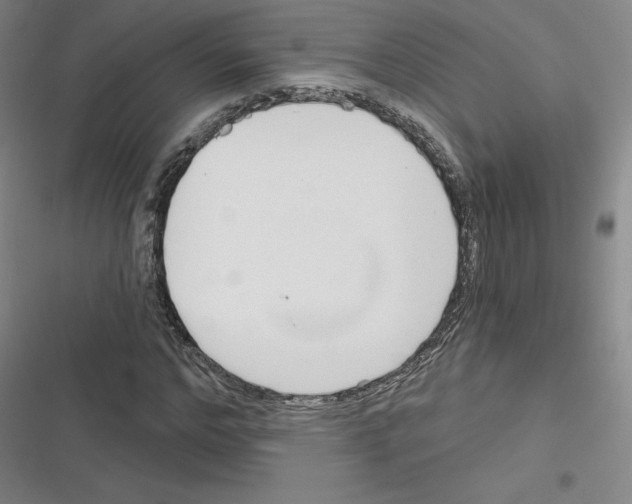 X0000116300968201001111114