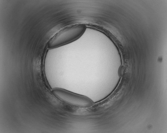 X0000116300969201001111114