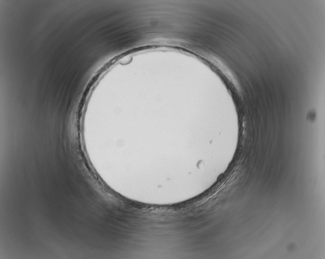 X0000116300972201001111114