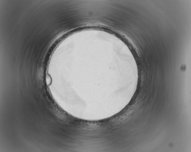 X0000116300975201001111114