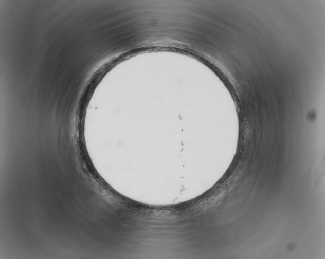 X0000116300979201001111114