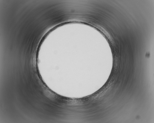 X0000116300980201001111114