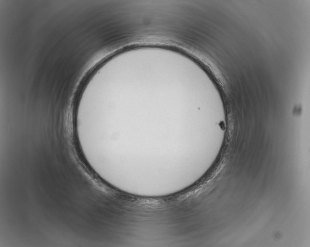 X0000116300982201001111114