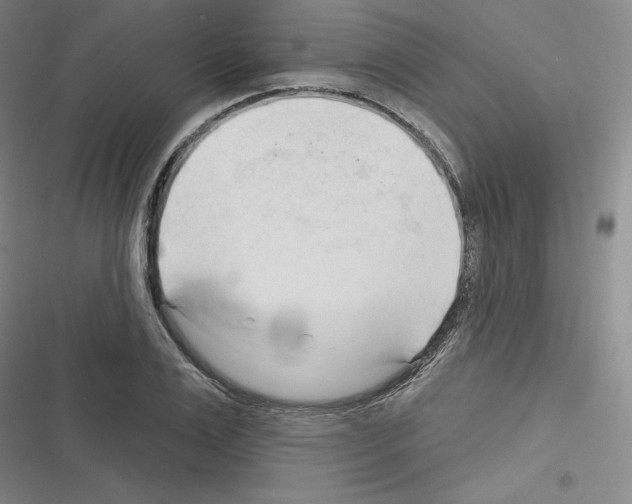 X0000116300983201001111114