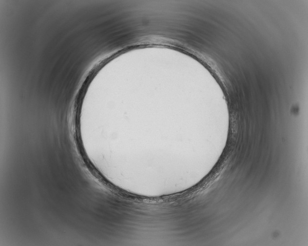 X0000116300987201001111114