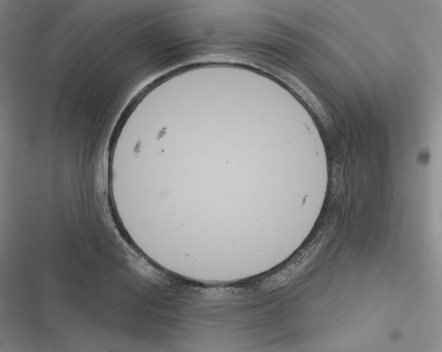 X0000116300988201001111114