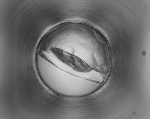 X0000116300989201001111114