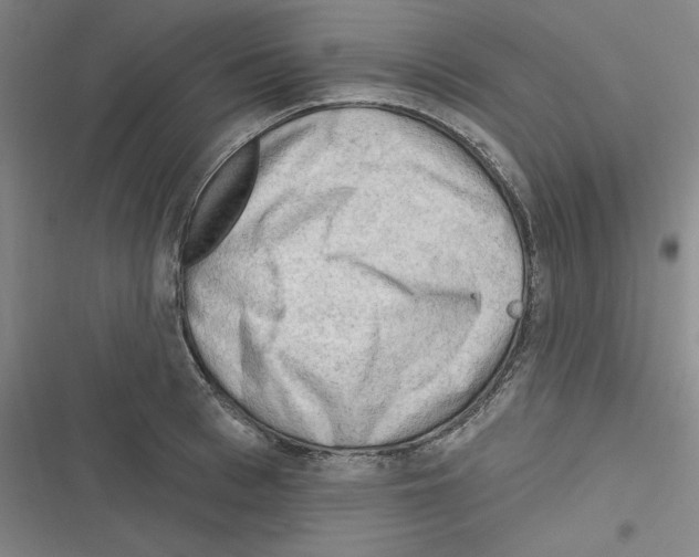 X0000116300993201001111114