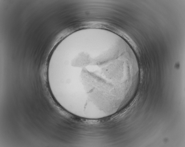 X0000116300994201001111113