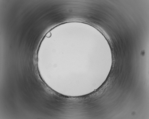 X0000116300996201001111113