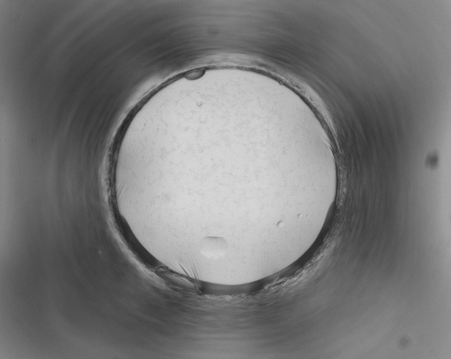 X0000116300997201001111113