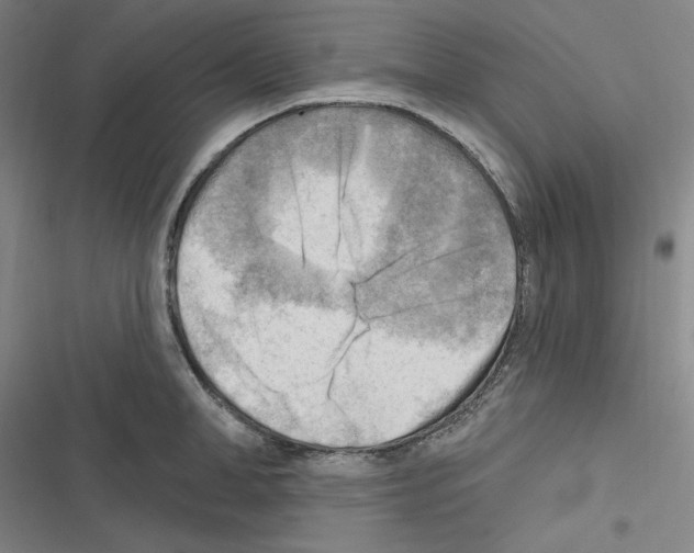 X0000116300998201001111113