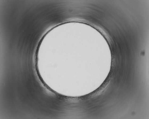 X0000116300999201001111113