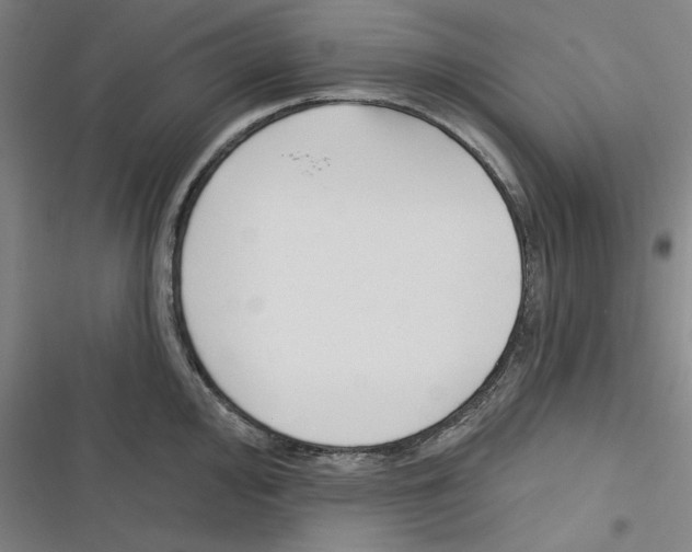 X0000116301000201001111113