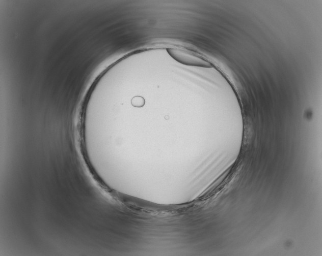 X0000116301003201001111113