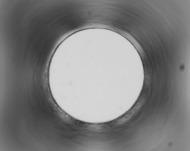 X0000116301004201001111113