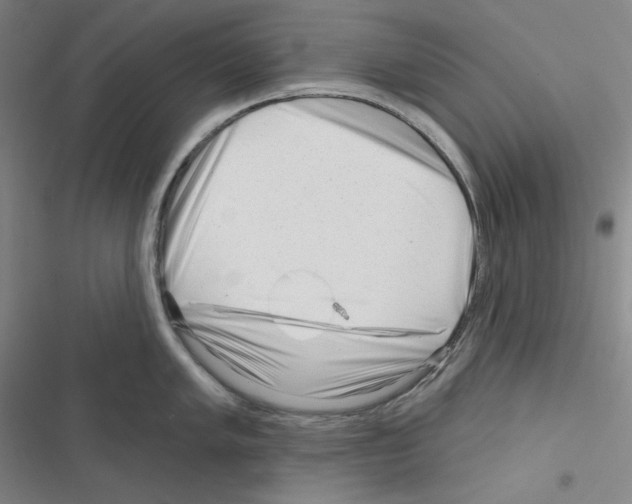 X0000116301005201001111113