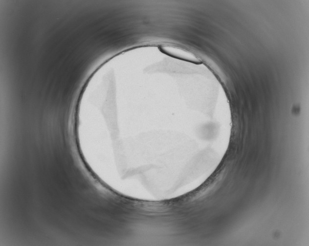 X0000116301007201001111113