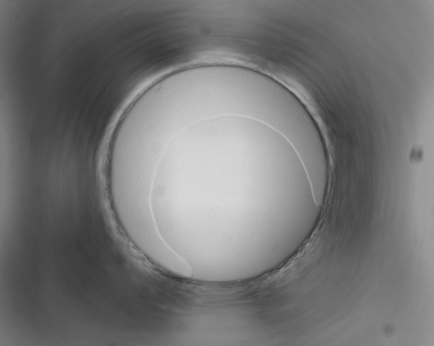 X0000116301008201001111113