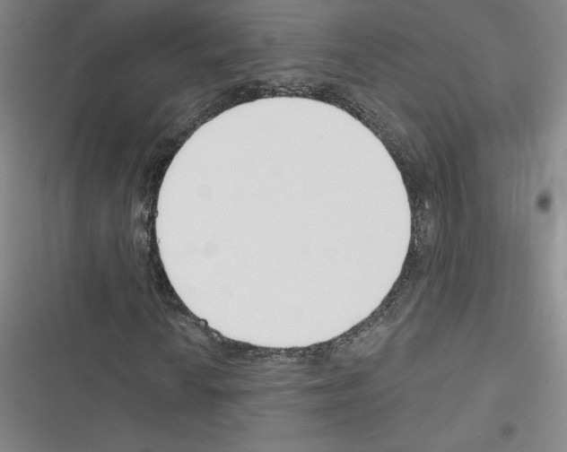 X0000116301010201001111113