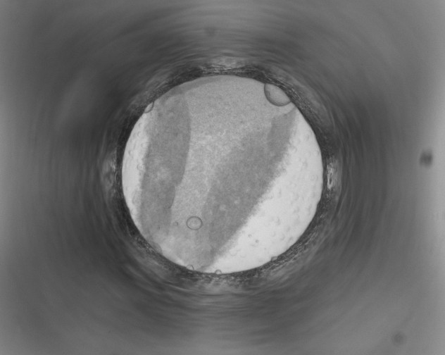 X0000116301011201001111113