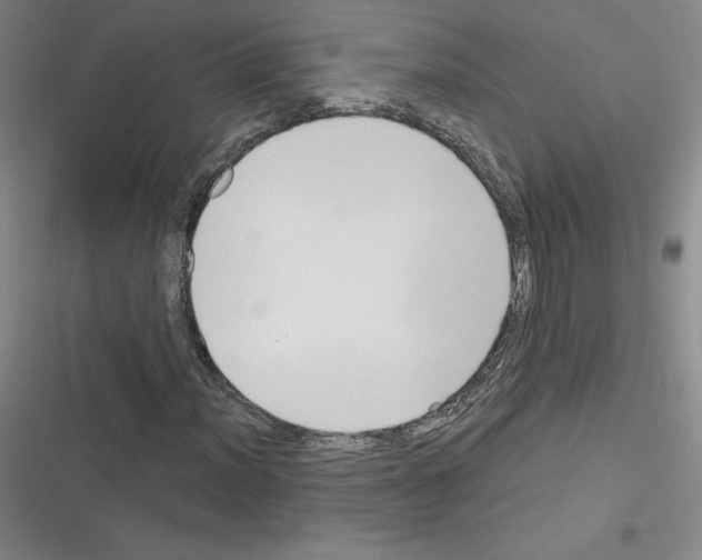 X0000116301012201001111113