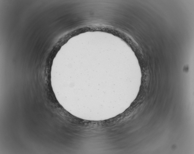 X0000116301016201001111113