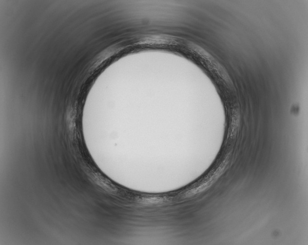 X0000116301017201001111113