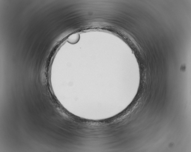 X0000116301018201001111113