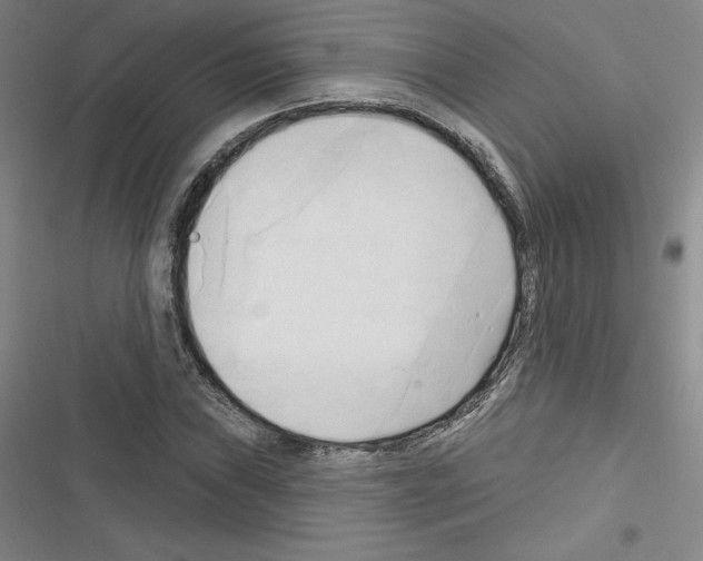 X0000116301019201001111113