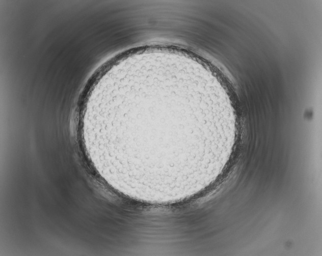 X0000116301021201001111113