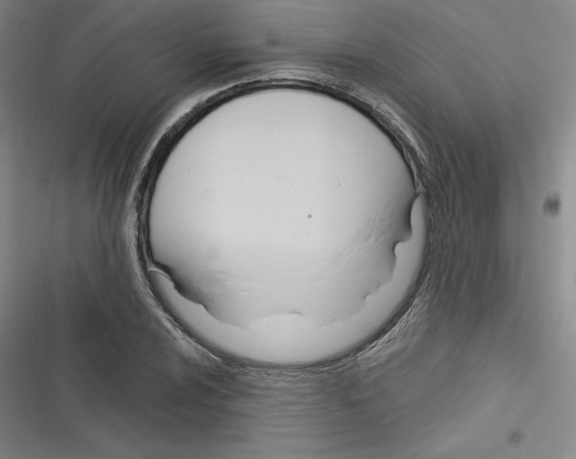 X0000116301024201001111113