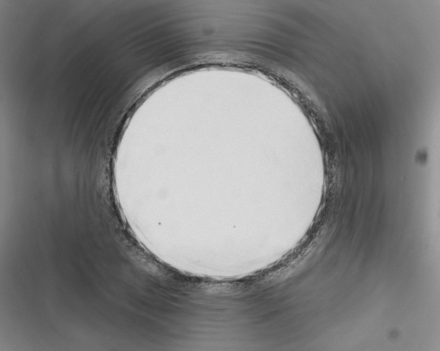 X0000116301025201001111113