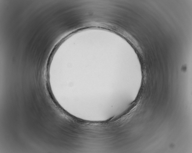 X0000116301028201001111113