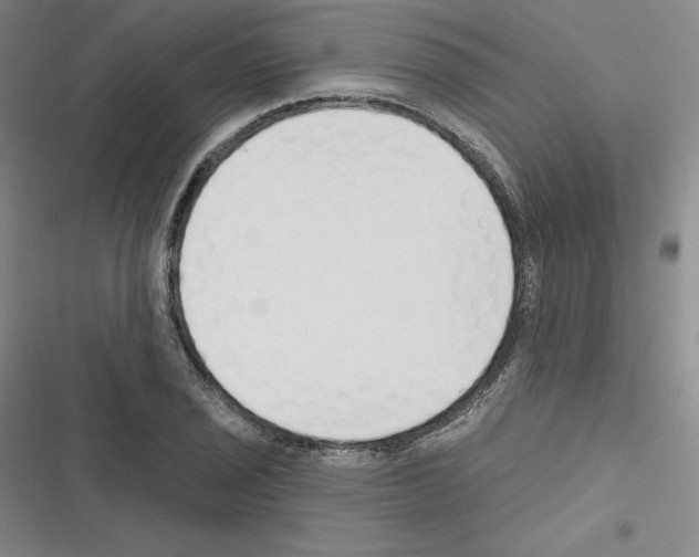 X0000116301029201001111113